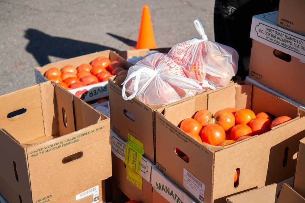 Cardboard boxes filled with red tomatoes and plastic bags of produce sit on asphalt, with an orange cone visible.